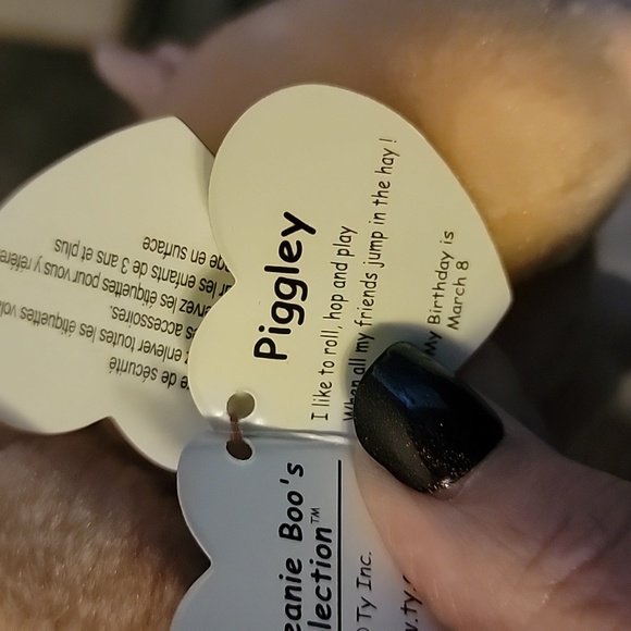 6in TY Beanie .....Pigglely - Picture 4 of 4